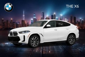 THE X6